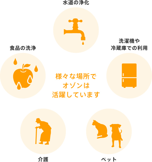 素肌本来の美しさへ、私たちが見つけた答えは「オゾン」です。